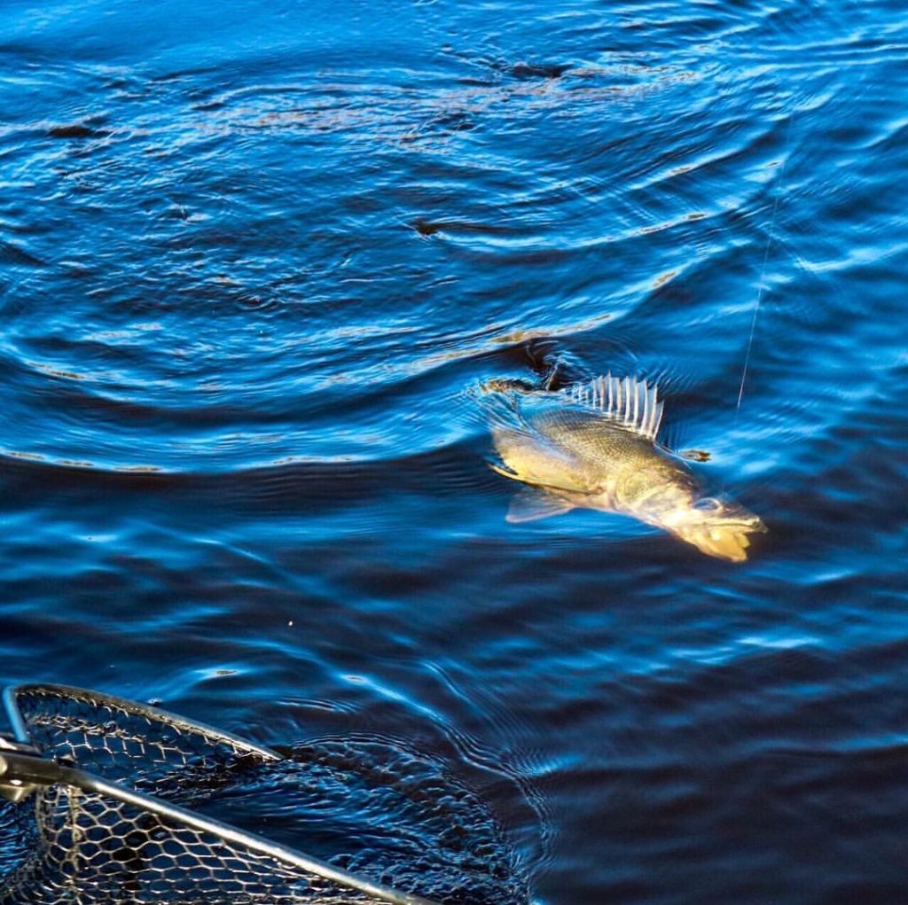 Fishing Stiklestad Lodge