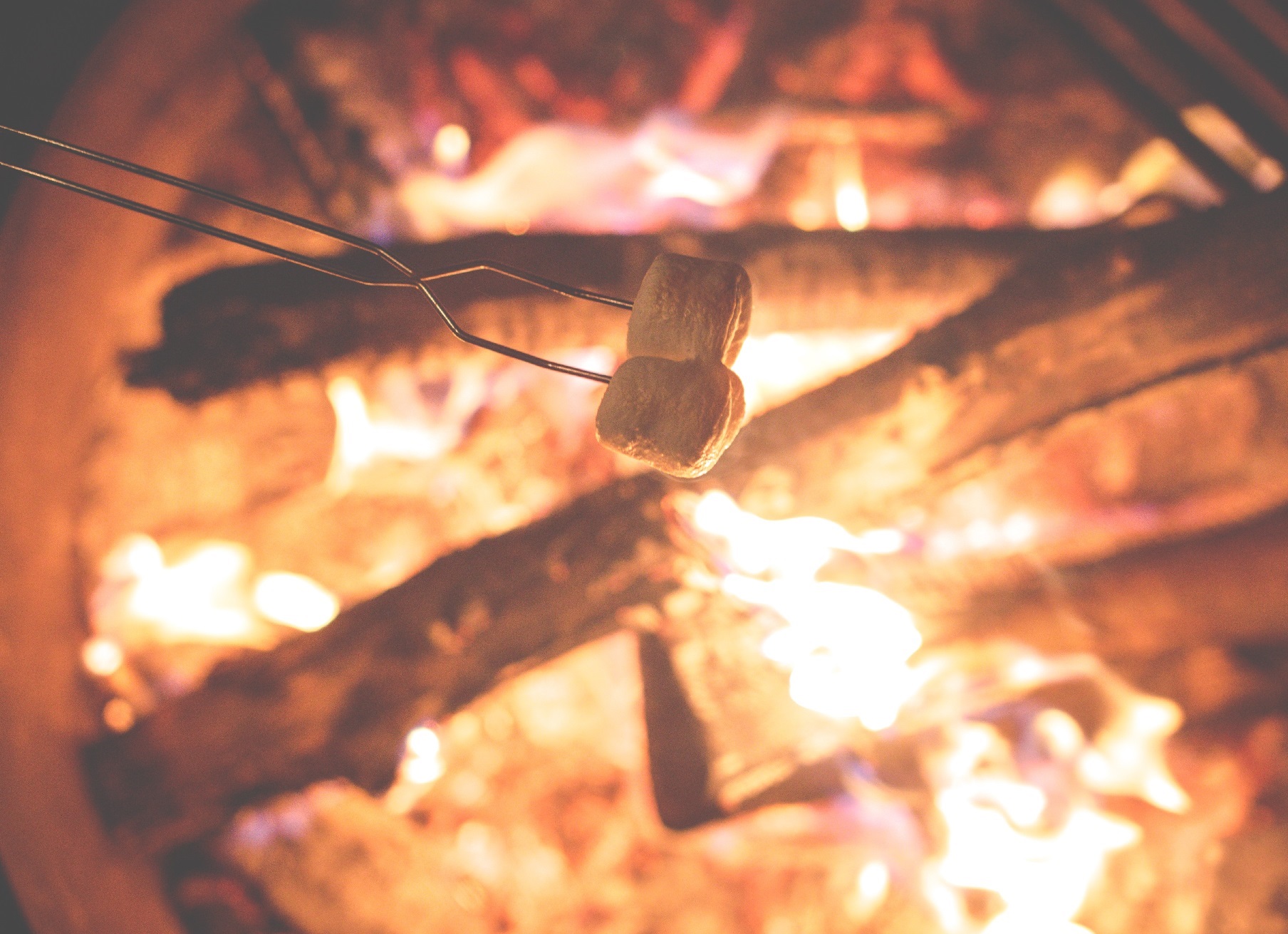 campfire_smores campfire_smores